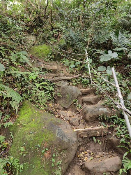 新北市-福德坑山3053876