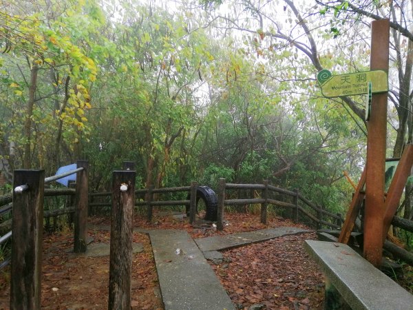 高雄大社~健身踏青好選擇~小百岳觀音山907984