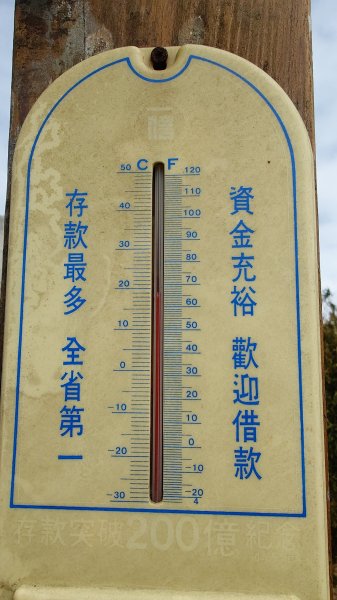 20260125 陽明山前後山健行(無極天元宮~山仔頂步道.向天池.向天山.面天山.二子坪)2998022