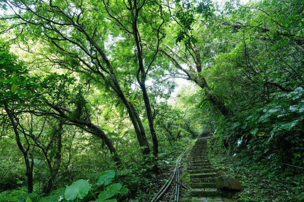 新北 平溪 薯榔尖、石筍尖、魔神仔洞2772543