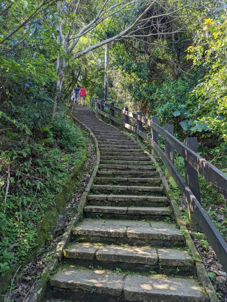 松山慈惠堂→九五峰／南港山／拇指山→糶米古道1622002