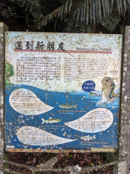 蓬萊溪護魚步道3047360