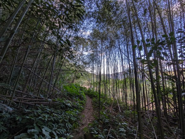 魯培山南插天山2357496