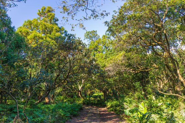 [台北]紗帽山2956589