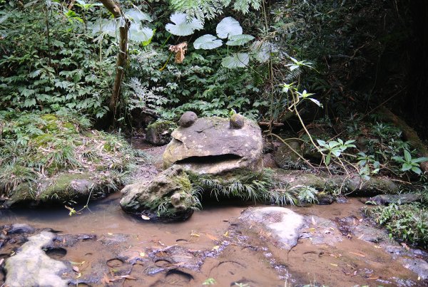 打鐵寮古道.白石山2752909