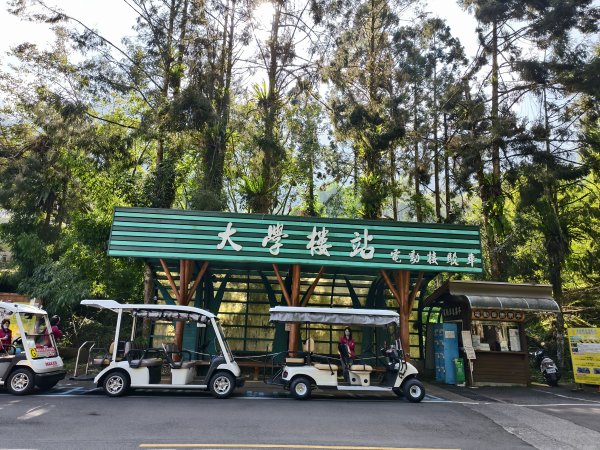 [百山百鳥尋旅-05/15] 2025_0830 溪頭賞鳥步道_賞鳥步道2875031