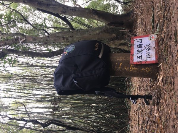 五酒桶山、南崁山2693323