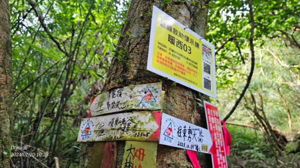 東勢大崙、東勢坑山、觀音湖山O走2986216