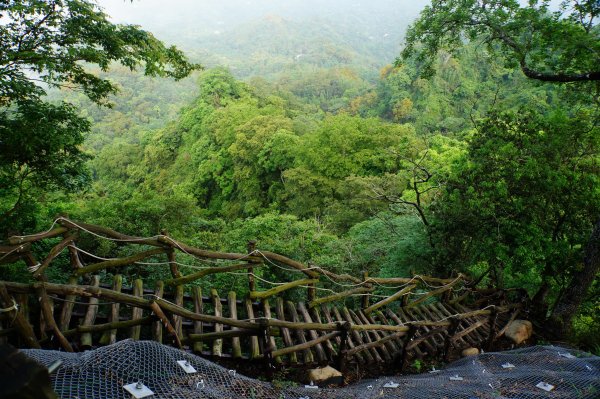 臺中 新社 頭嵙山、黑山、石苓湖山3047654