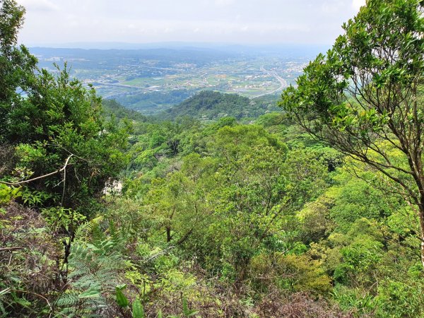 鳶嘴山，醜崠山，長壽山，榛山步道，三員縱走，文林古道，高梘頭山，糖塔山，鐘樓古道1691660