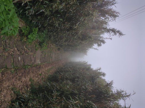 第二段：二子坪→小油坑2759594