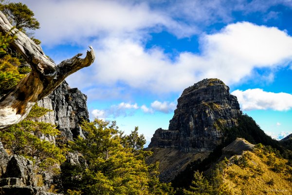 [冬訪大霸聖山岳參行]-榮耀桂冠B'bu' Papak聖稜精選輯2974812