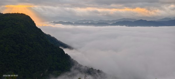 #翡翠水庫壩頂 #日出 #雲海 #斜射光 8/303113254