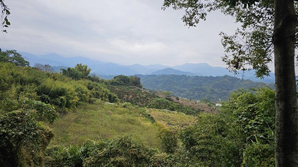 小中嵙登山步道頂中嵙山O形2385042