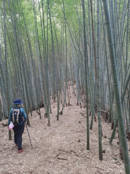 鹿谷小半天6峰連走1269685