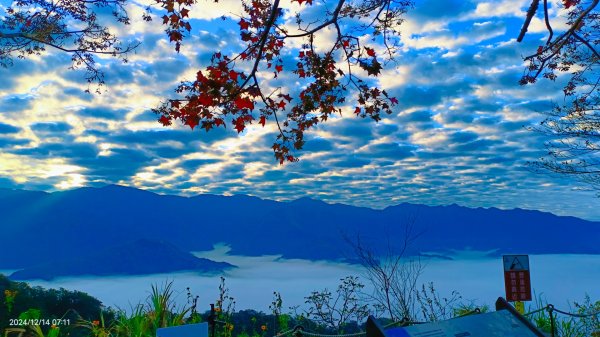 二訪馬拉邦山，解鎖 #琉璃光雲海 #日出雲海  #血月 #斜射光 #楓葉紅了！2668634