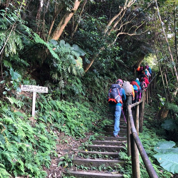 走入山林，看見美麗山景—新店小獅山1239694