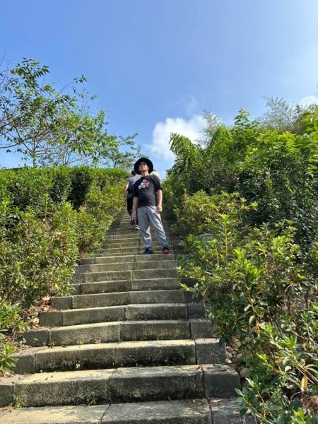 ［竹山］山坪頂茶山七星步道2909685