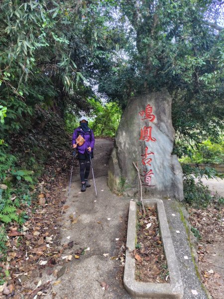 鳳鳴古道 鳳鳴山 南隘勇（南長城）古道 三湖山 八達嶺（龍骨）古道 綠色古道 延平古道2975193