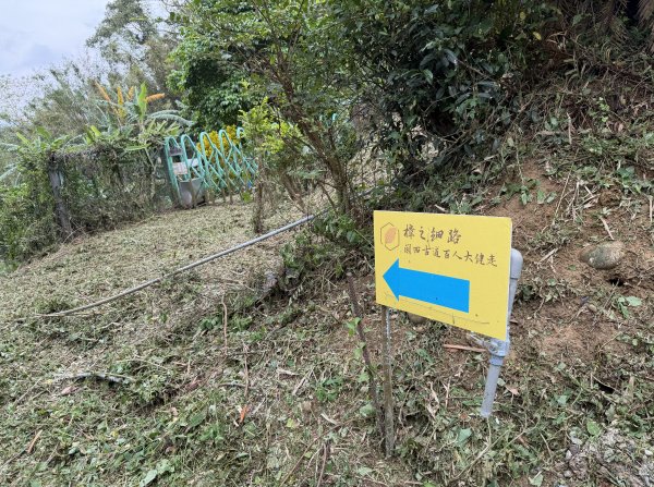 [樟之細路_第二大段RSA17] 2026_0328 飛鳳古道3026064