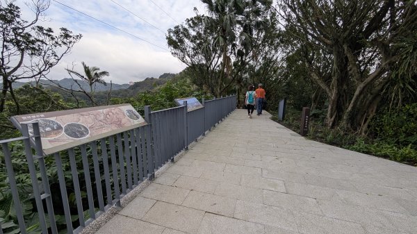 114.12.20劉銘傳隧道-獅球嶺北峰-獅球嶺東砲台山-獅球嶺池-獅球嶺砲台山之旅2966710
