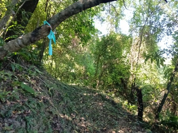 基隆市外西勢坑山+暖暖砲台+福基煤礦遺址O型2907984