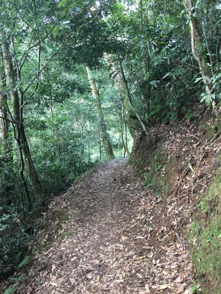 嘉南雲峰、石壁山278032