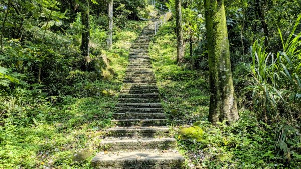 大尖山。走向2770858