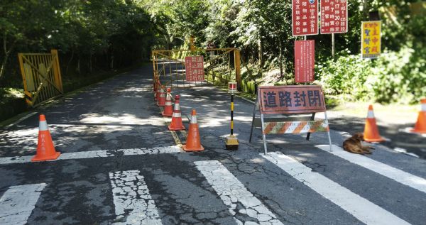 菜鳥新手之玉山主峰372168