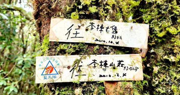 【中級山】隱藏在尖石的神秘古堡，昔日兵家必爭之地，新竹李棟山2744553