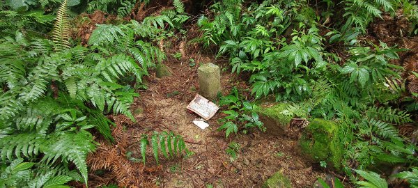 2025/11/02_大崎棟古道+騎龍古道+逃學步道2929070