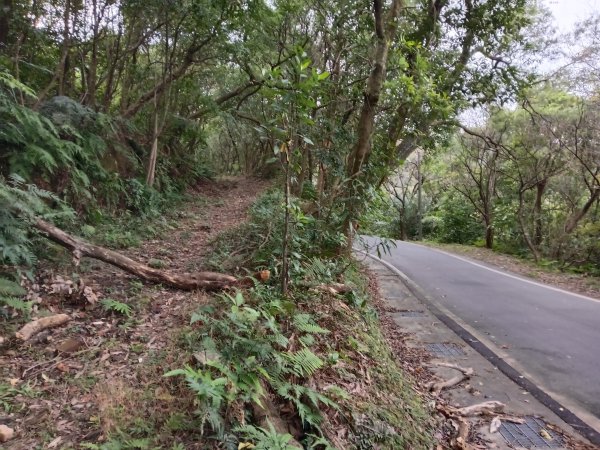 基隆市三層山+湳子大崙+淡基橫斷古道+面桶寮土地公2982240