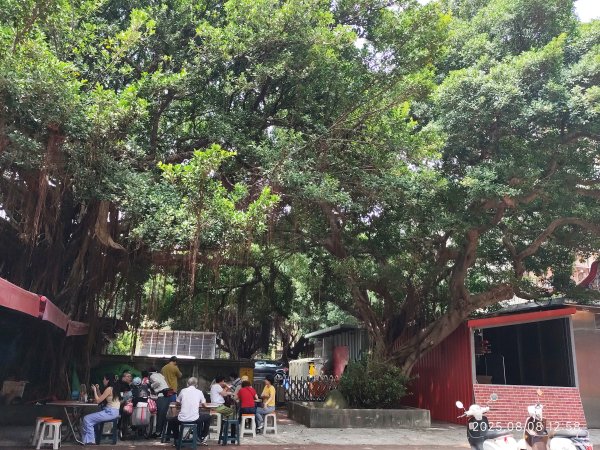 大稻埕 - 迪化街、大港墘公園【臺北健走趣】2855177