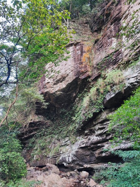 暖東峽谷步道-(基隆)臺灣百大必訪步道2249161