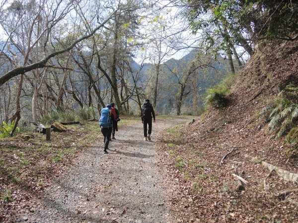 20200117-大霸尖山+小霸尖山812586