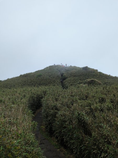 2023.04.22－七星山步道2123983