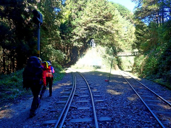 再訪眠月線 2019/11/23-24753038