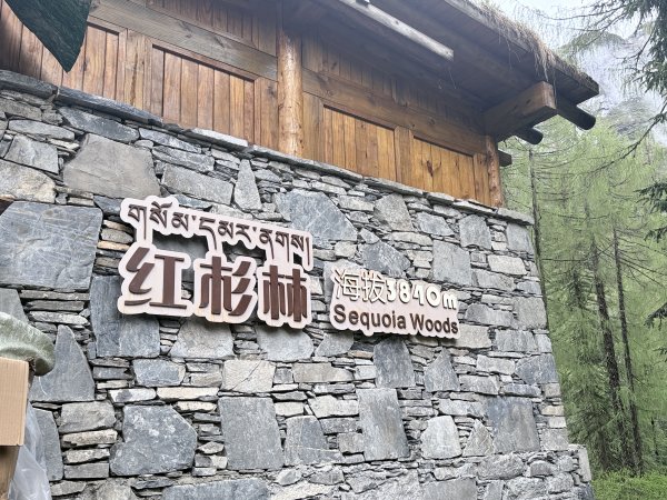 川西秘境徒步之旅D6 2026.6.3 舊地重遊雙橋溝