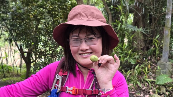 2025樂活夜櫻季搶先看，內湖樂活公園夜櫻季明天熱鬧登場，沿內溝溪3公里近距離欣賞寒櫻、昭和櫻、吉野2695709