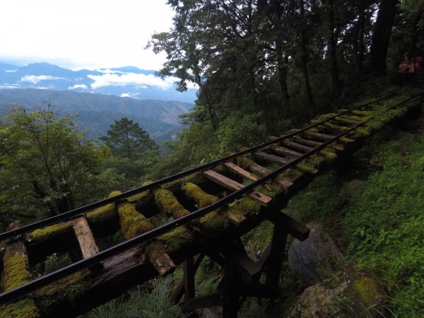 太平山見晴古道1457874