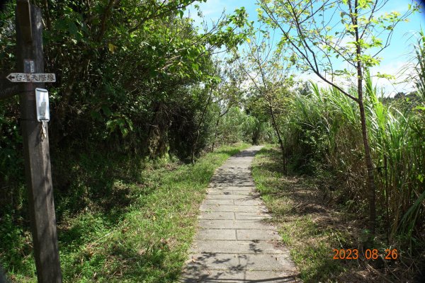 基隆 頂寮山、龍門山、五分山、頂子寮山2265946