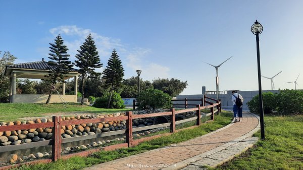 《台中》海濱夕陽｜龜殼生態公園連走大安紅樹林生態步道202410202632397