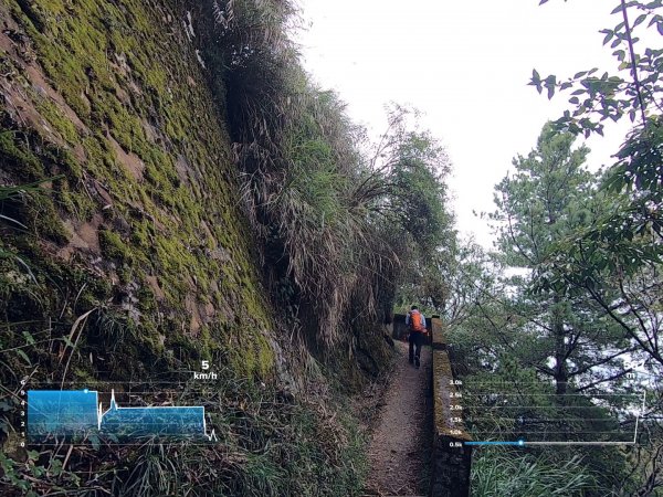 大塔山、對高岳、小笠原 O型環線1195225