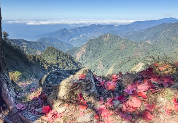 鳶嘴稍來步道賞楓季 ，大雪山門票優惠到12/31！2969588