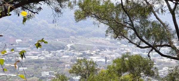 2026/03/08-毘盧禪寺步道+七星崗3013891