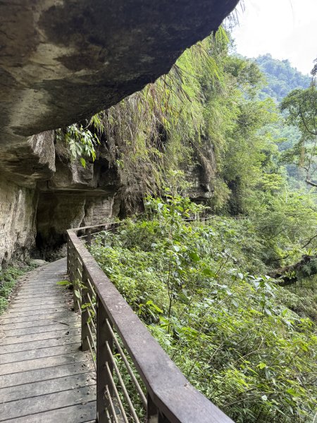 87竹坑溪龍宮瀑布步道11507023124688