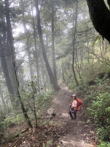 南松鶴上八仙山下松鶴O繞 202408242581518