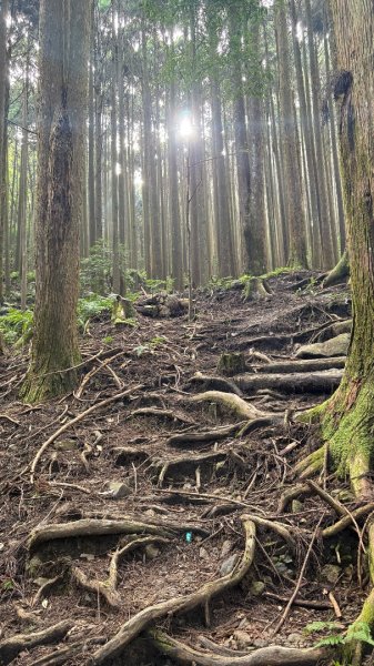 加里山東南峰2845041