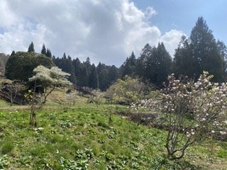 1130306大塔山步道2696771