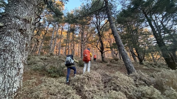 南二段 2026 03/12-17 六天五夜3018268